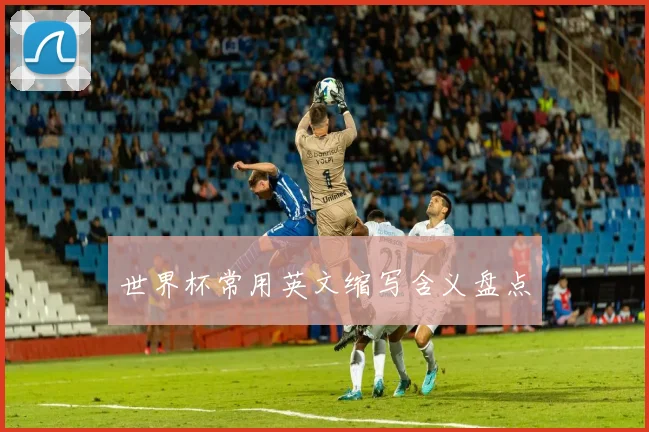 世界杯常用英文缩写含义盘点